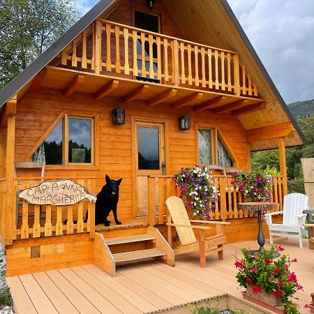 Appartement Agri Camp Dolomiti à Belluno Extérieur photo