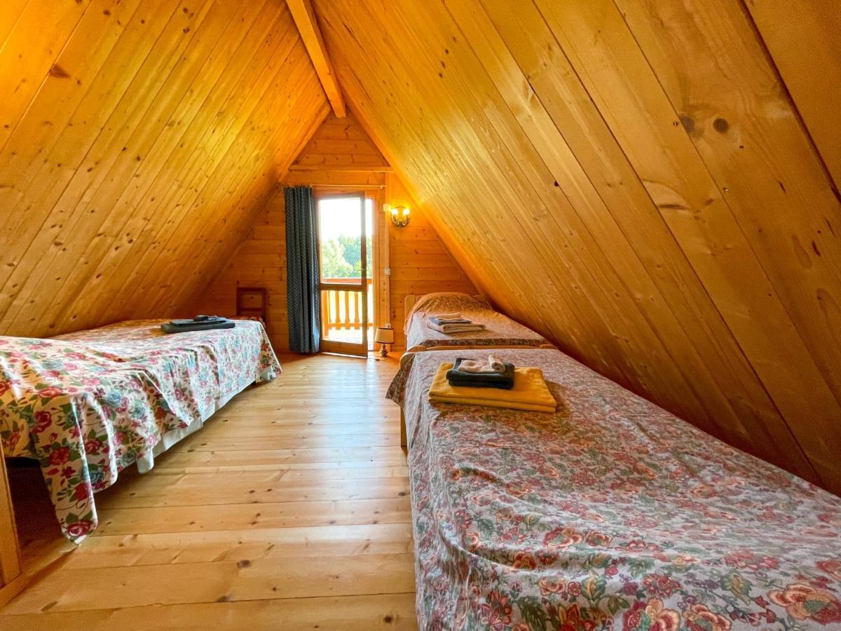 Appartement Agri Camp Dolomiti à Belluno Extérieur photo