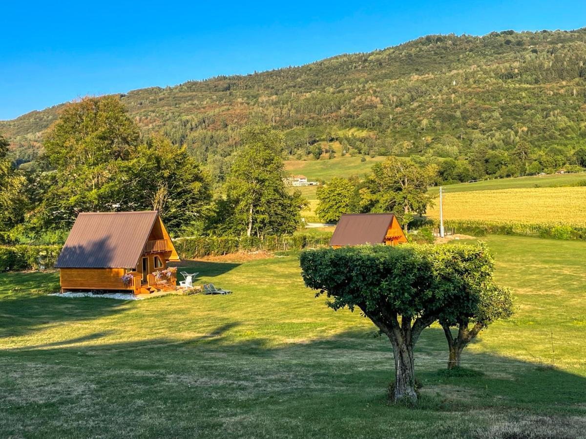 Appartement Agri Camp Dolomiti à Belluno Extérieur photo