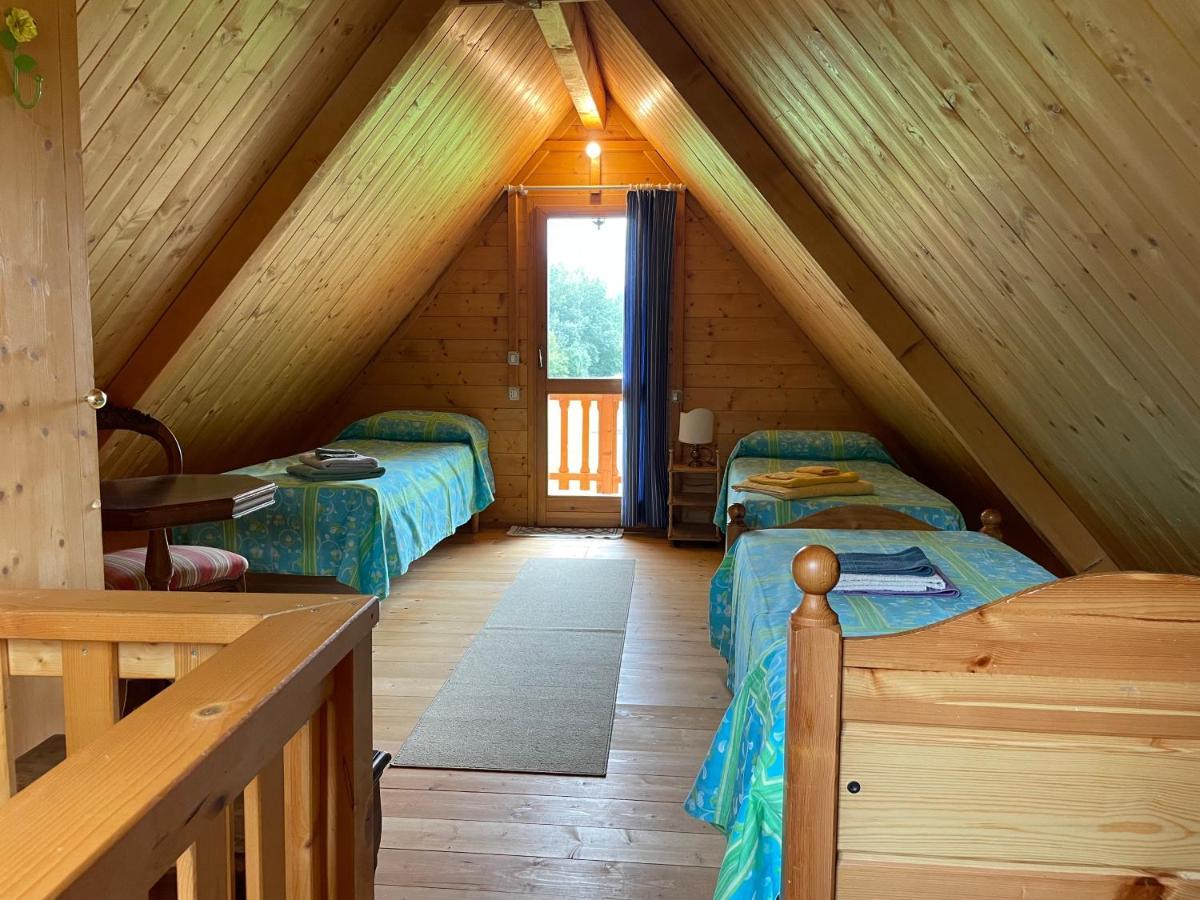 Appartement Agri Camp Dolomiti à Belluno Extérieur photo