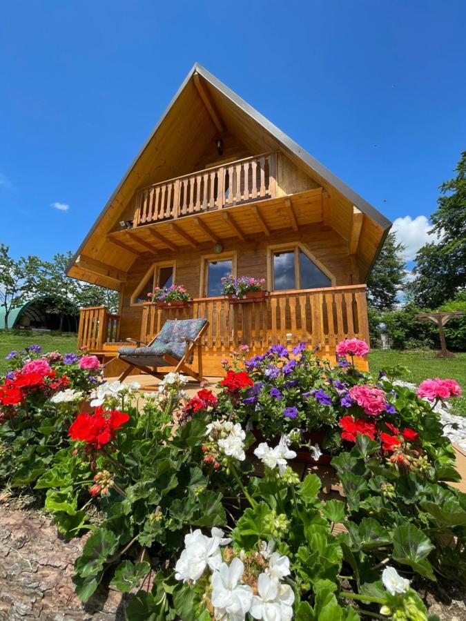 Appartement Agri Camp Dolomiti à Belluno Extérieur photo