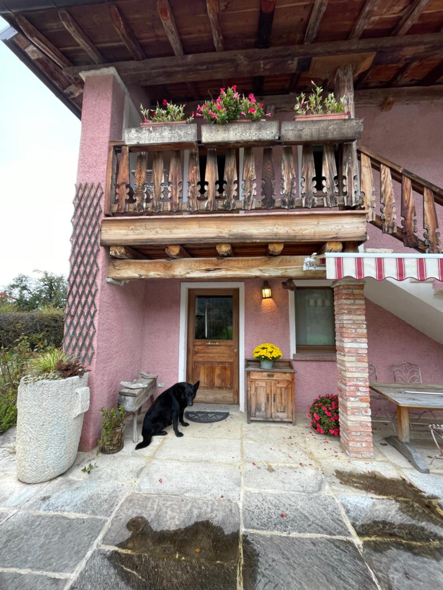 Appartement Agri Camp Dolomiti à Belluno Extérieur photo